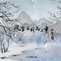 风雪压我两三年 (DJ刘雅松版)