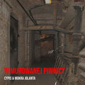 Mokra Jolanta - W Murowanej Piwnicy
