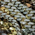 Leroy Bandz、Richie Evans - Like Ah Boss (Explicit)
