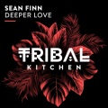 Deeper Love (Extended Mix)