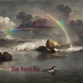Densiana、DJ Saquib、Yellow Claw、Spanker、Arijit Singh、Mika Singh、Ankit Tiwari、Deejay Rax、DJ Snake - Slap House Mix