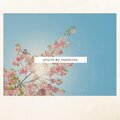 Leafbreeze - You're My Sunshine
