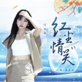 红尘情关 (DJ女版)