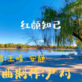 尹对舞曲制作 - 慢四  王峰_安静-红颜知己    尹对制作