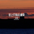金亚雷 - 别拿我和别人比我有双手靠自己