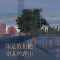 郝琪力 - 你是我拒绝别人的理由