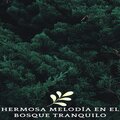 Sonido Relajante - Actúa Como Reductor Del Estrés