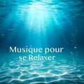 Musique Calme et Relaxation - Méditation et Relaxation Nocturnes