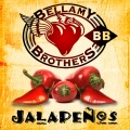Bellamy Brothers - Back in the Day