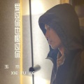 玉杰 - 爱过你也恨过你