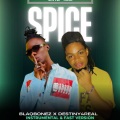 Just Like Spice (feat. Blaqbonez) (Instrumental)