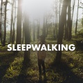 Nicholas Bonnin、Angelicca、Speed Radio - Shut Up and Listen