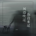 洋澜一 - 风没吹过你没来过