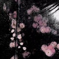 江城路_K - 会魔法的老人