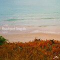 Beachport Seagulls