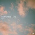 Warrnambool Forest