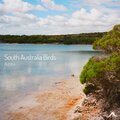 South Australia Birds