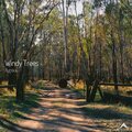 Windy Trees