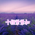 十指紧紧扣（对唱）
