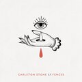 Carleton Stone - Fences