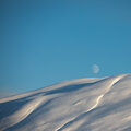 Snow Fields