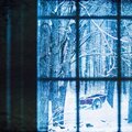 DaikixCousin - Call of Winter