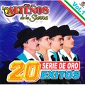 20 Exitos Serie de Oro , Vol. 1 (Explicit)