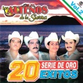 20 Exitos Serie de Oro , Vol. 2 (Explicit)