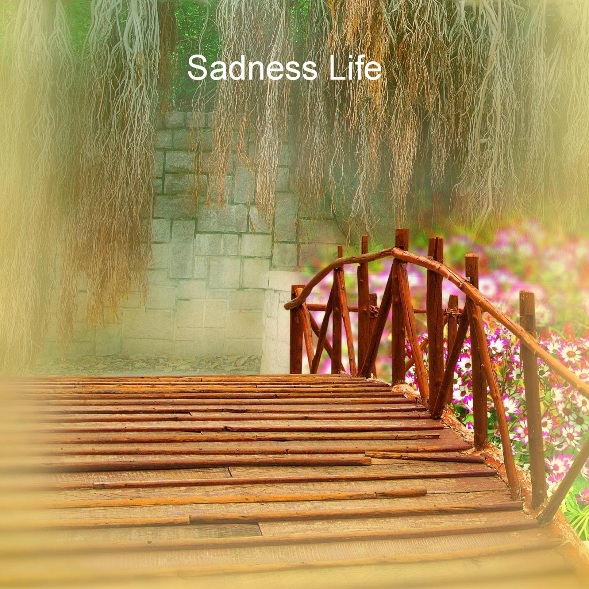 Dmitri Saidi、Damitri Saidi - Sadness Life