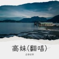左您右你 - 高妹
