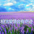 相信爱情会有奇迹（对唱）