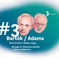 Adams: Shaker Loops: I. Shaking and Trembling