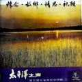 第五届云雀奖纪念特辑 (二)(黑胶版)
