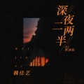 魏佳艺 - 深夜二两半