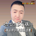 哈尔滨DJ旗总音乐工作室 - 精品原创舞曲慢三版★星夜的离别★高胜美