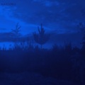 Navarra - Industrial Meadow