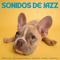 Radio Jazz Latino、Jazz relajante para perros、Calma Música para Perros - Mi Cafetría Favorita
