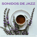 Cámara de enfoque、Vibraciones relajantes de jazz、Jazz de revisión - Mente Armoniosa Y Salón De Café
