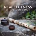 Asian Flute Music Oasis - Breathe With Me