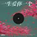 嘉晨吖 - 一生爱你一个