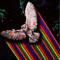 THROUGH THE BIRDS GAZE (Explicit)