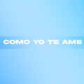 Como Yo Te Amé