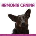 En El Ruido、Buena musica para perros、Relaxmydog - Serenata Canina De Armonía