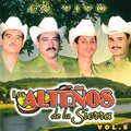 Los Alteños de la Sierra - Las Uvas ( En Vivo)