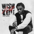 Wish You Well (Explicit)