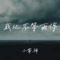我从不等雨停