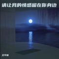 王宇翔 - 再见我的爱人