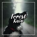 Dog Music - Dog Pound