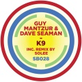 Guy Mantzur、Dave Seaman - K9 (Solee remix)