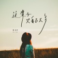 魏佳艺 - 这辈子欠自己太多